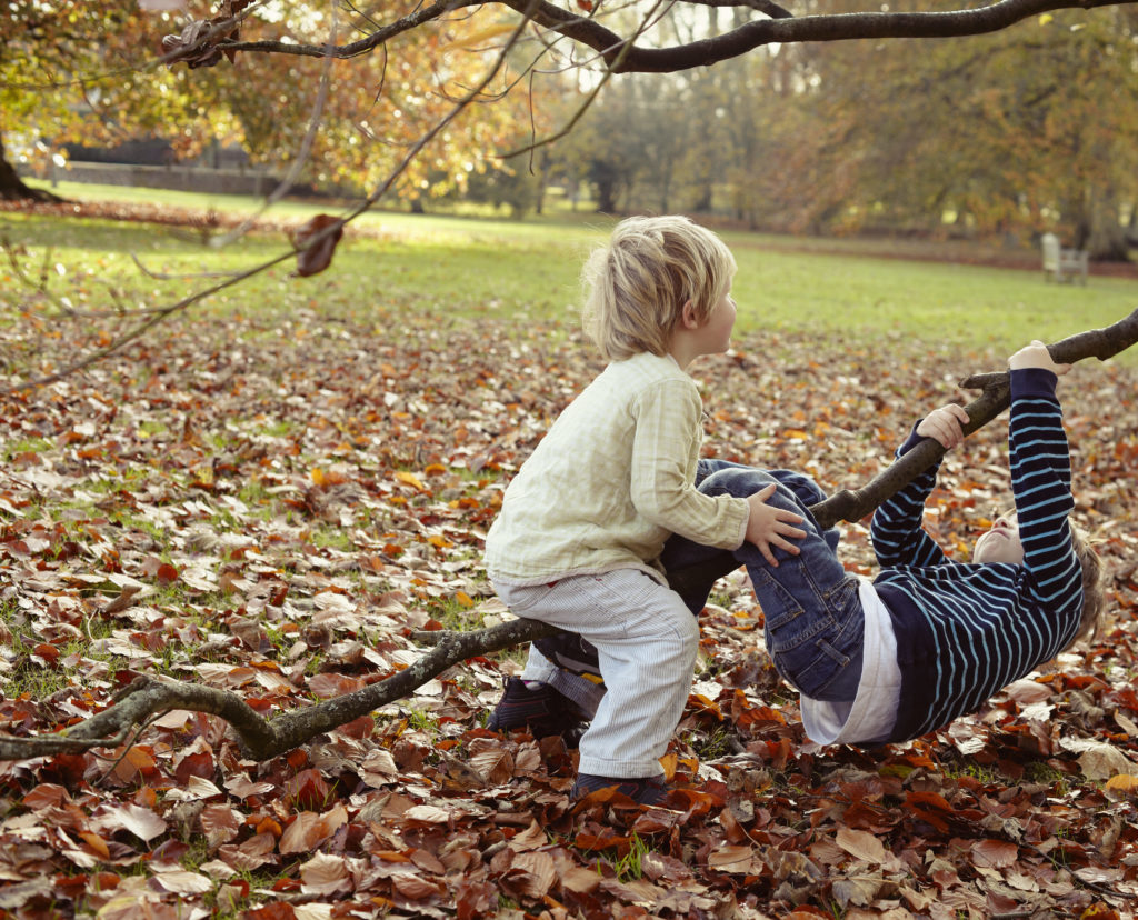 Boys playing on tree outdoors