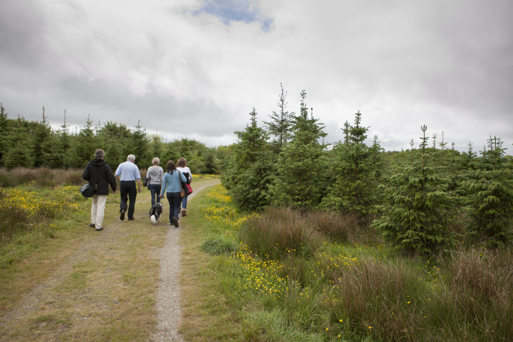 Children walking on rural dirt path