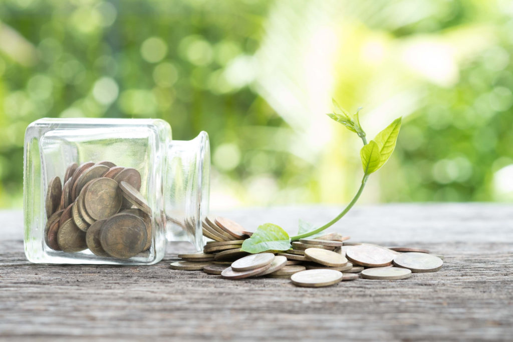 Coins and a plant in a jar to symbolise growth.