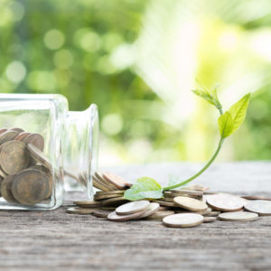Bottles and coins and the plant that up the arch. Concept of economic recovery