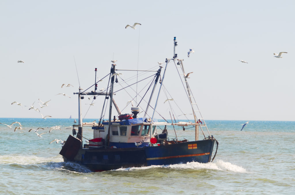 fishing boat in the sea with many seagulls flying around it