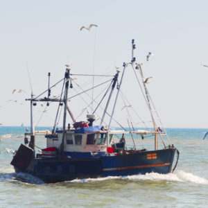 fishing boat in the sea with many seagulls flying around it