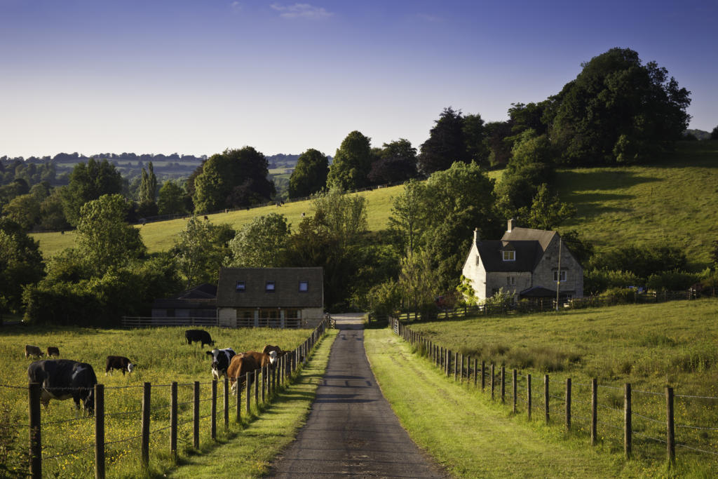 Concept for Partnership pitfalls - Farmland with farmhouse and grazing cows in the UK