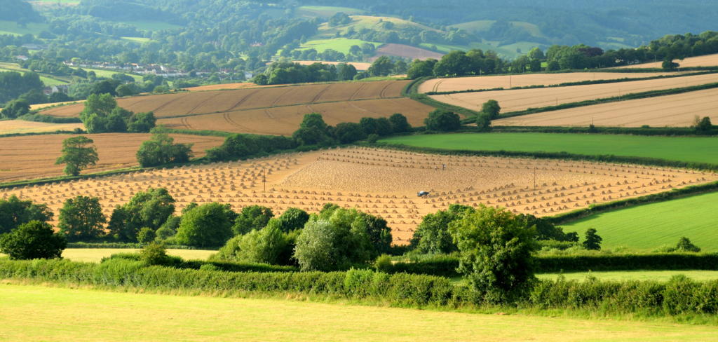 picture of open fields and hills