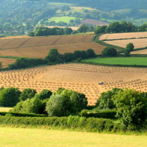 picture of open fields and hills