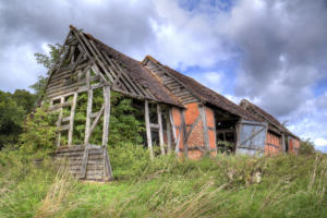Overgrown old barn.