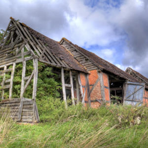 Overgrown old barn.