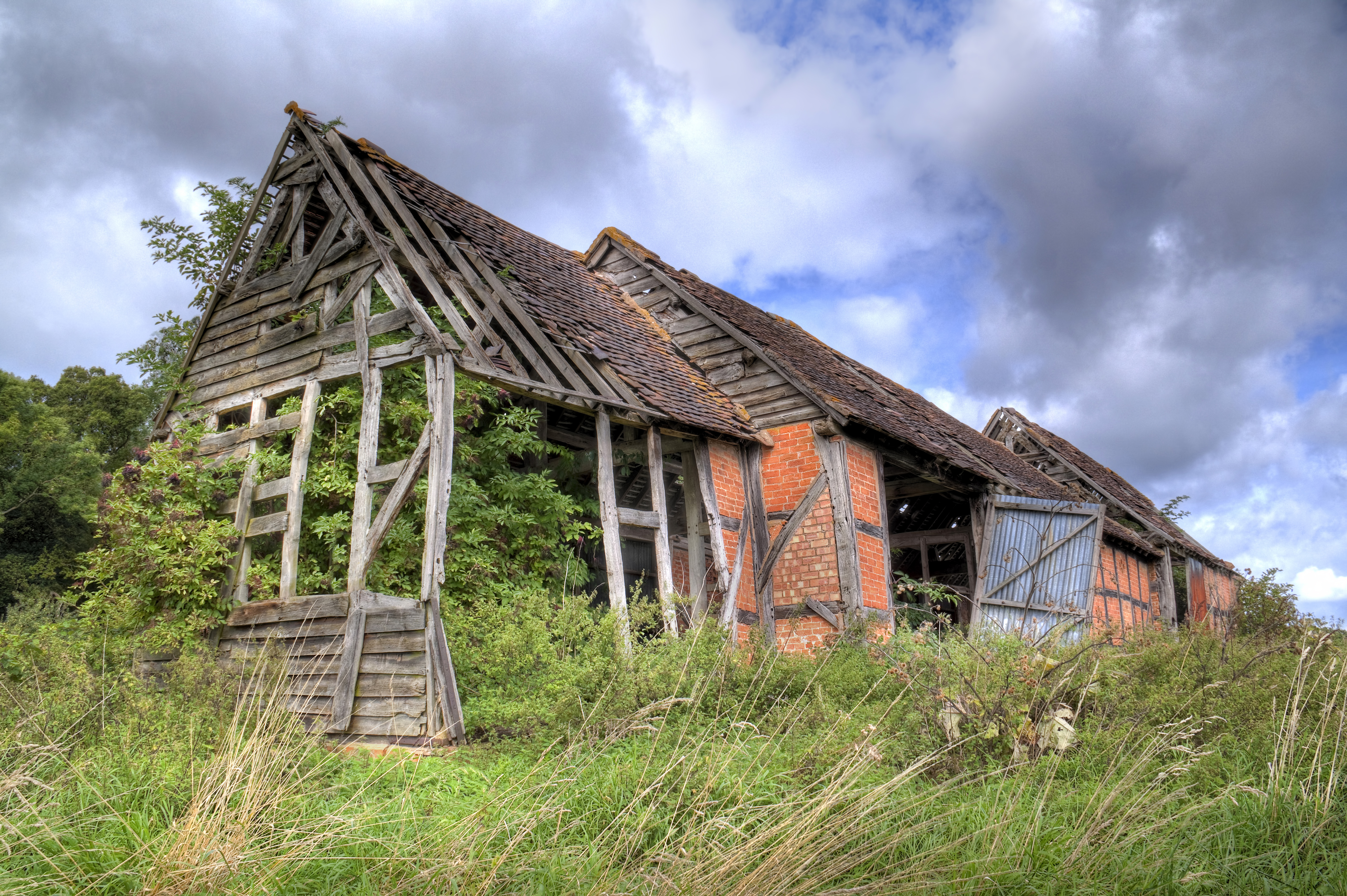 Overgrown old barn.