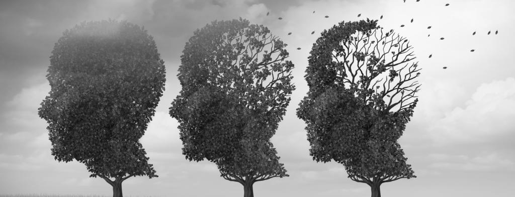 Concept of memory loss and brain aging due to dementia and alzheimer's disease as a medical icon with fall trees shaped as a human head losing leaves with 3D illustration elements.