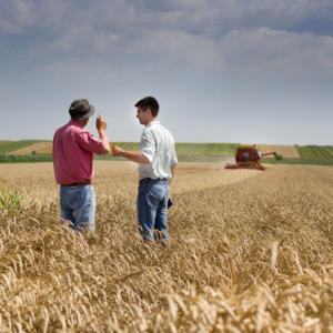 Proud peasant and businessman talking on wheat field during harvesting