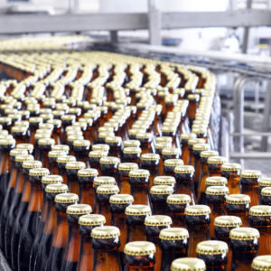 beer filling in a brewery - conveyor belt with glass bottles