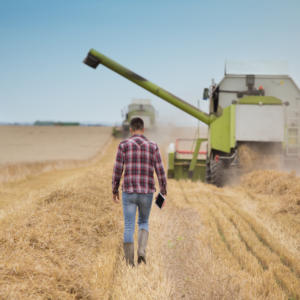 farm