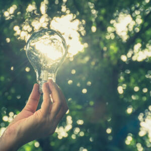 renewable energy