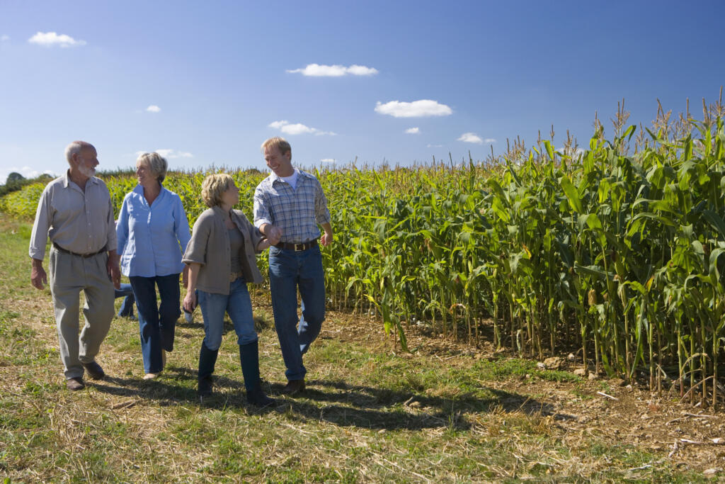 transferring part of your farm