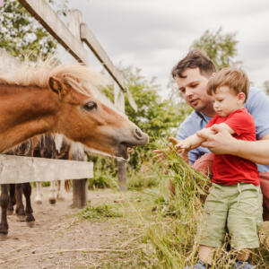 farming break up