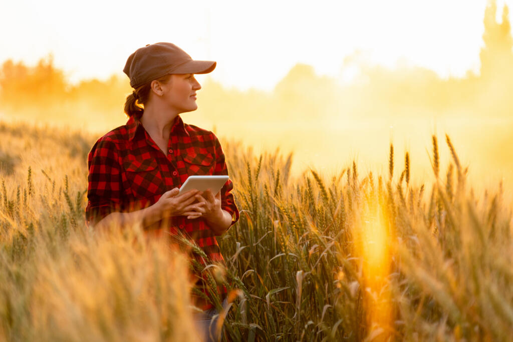 Farming Divorce