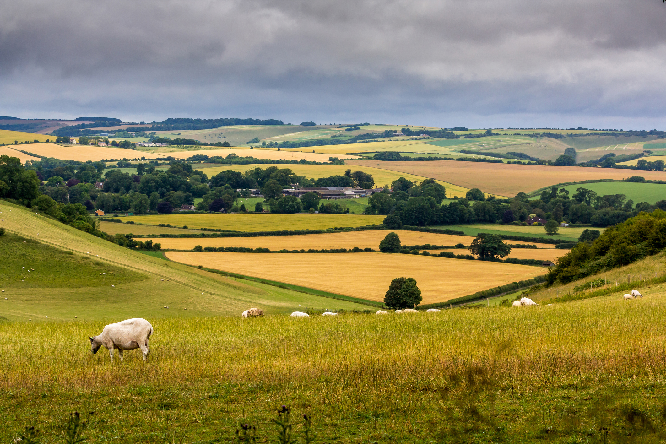 View of fields in Wiltshire countryside in England, UK