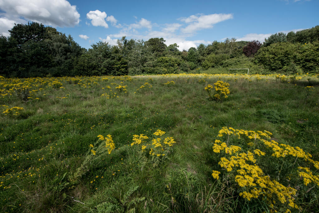 disposal of public open space