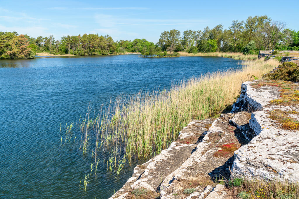 restoring mineral sites