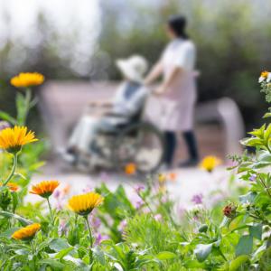 person in a wheelchair being pushed by another person around a garden