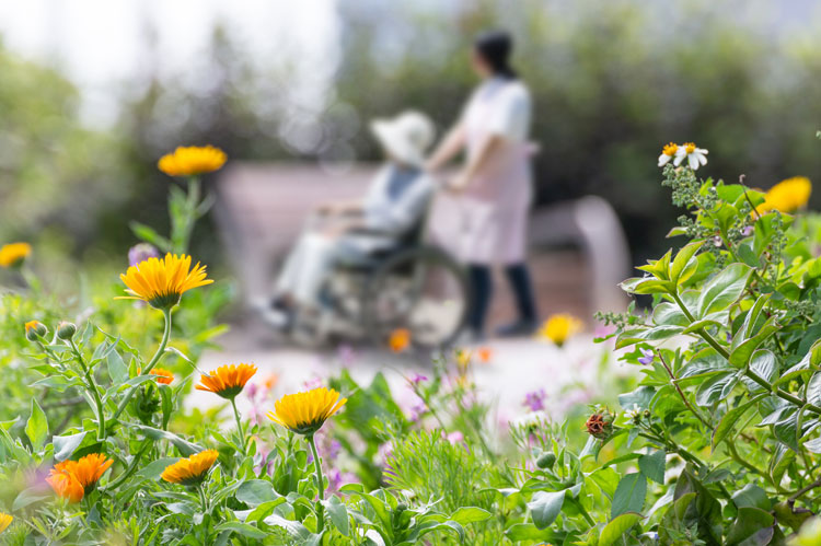 person in a wheelchair being pushed by another person around a garden