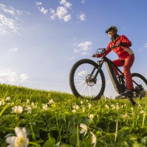 person on a bike in field of flowers saints way