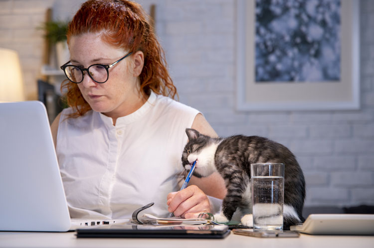person remote hybrid working at home on laptop with their cat