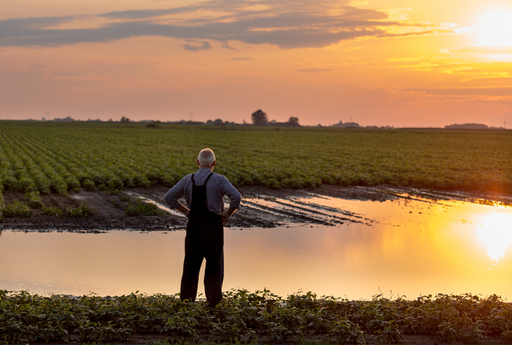Old man standing in field with hands on hips at sunset, considering retiring from farming