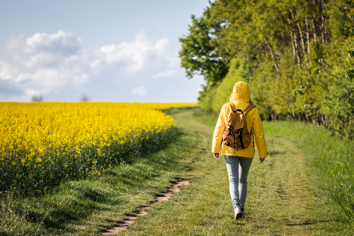 Person from the back, wearing yellow raincoat, walking along a path on the side of a field with yellow flowers