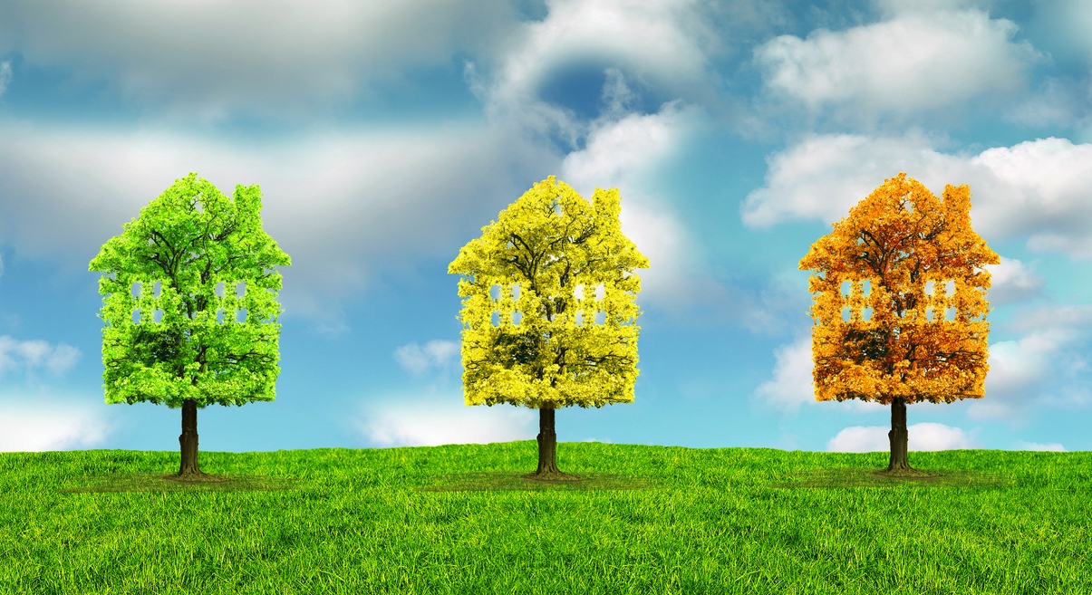 Three topiary houses on tree trunks, one green, one yellow and one orange.