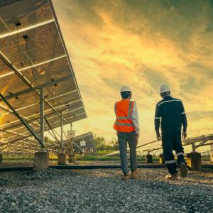 contractor walks investor through field of solar panels at sunset