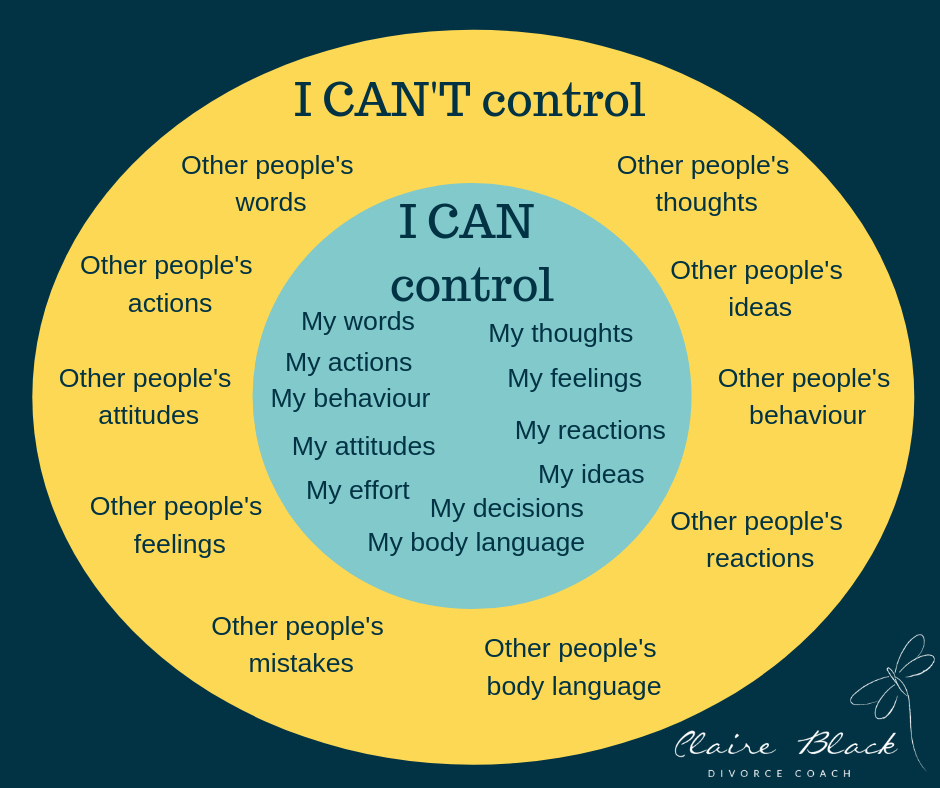 Claire Black control diagram