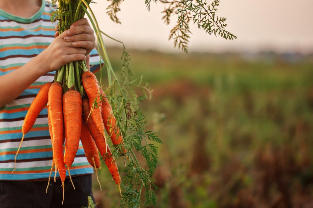 photo of a farmer holding up his harvest