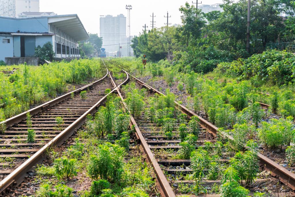 railway lines