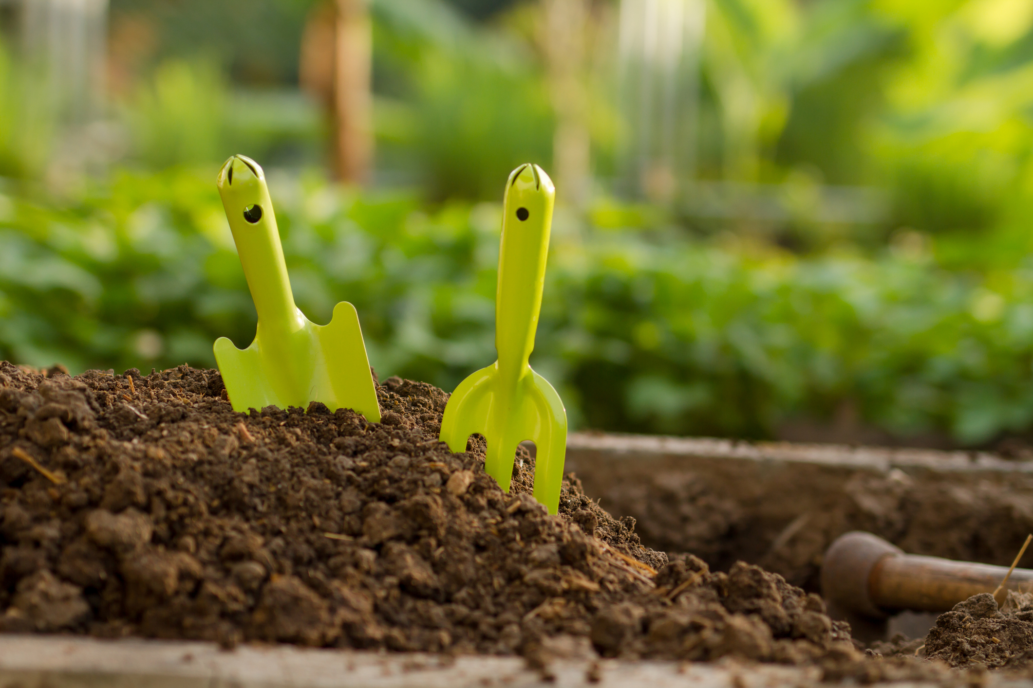 Garden Fork and Trowel on soil