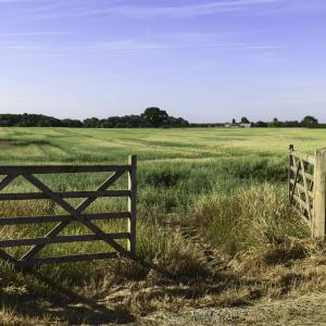 Concept for Disposing of Charity Land