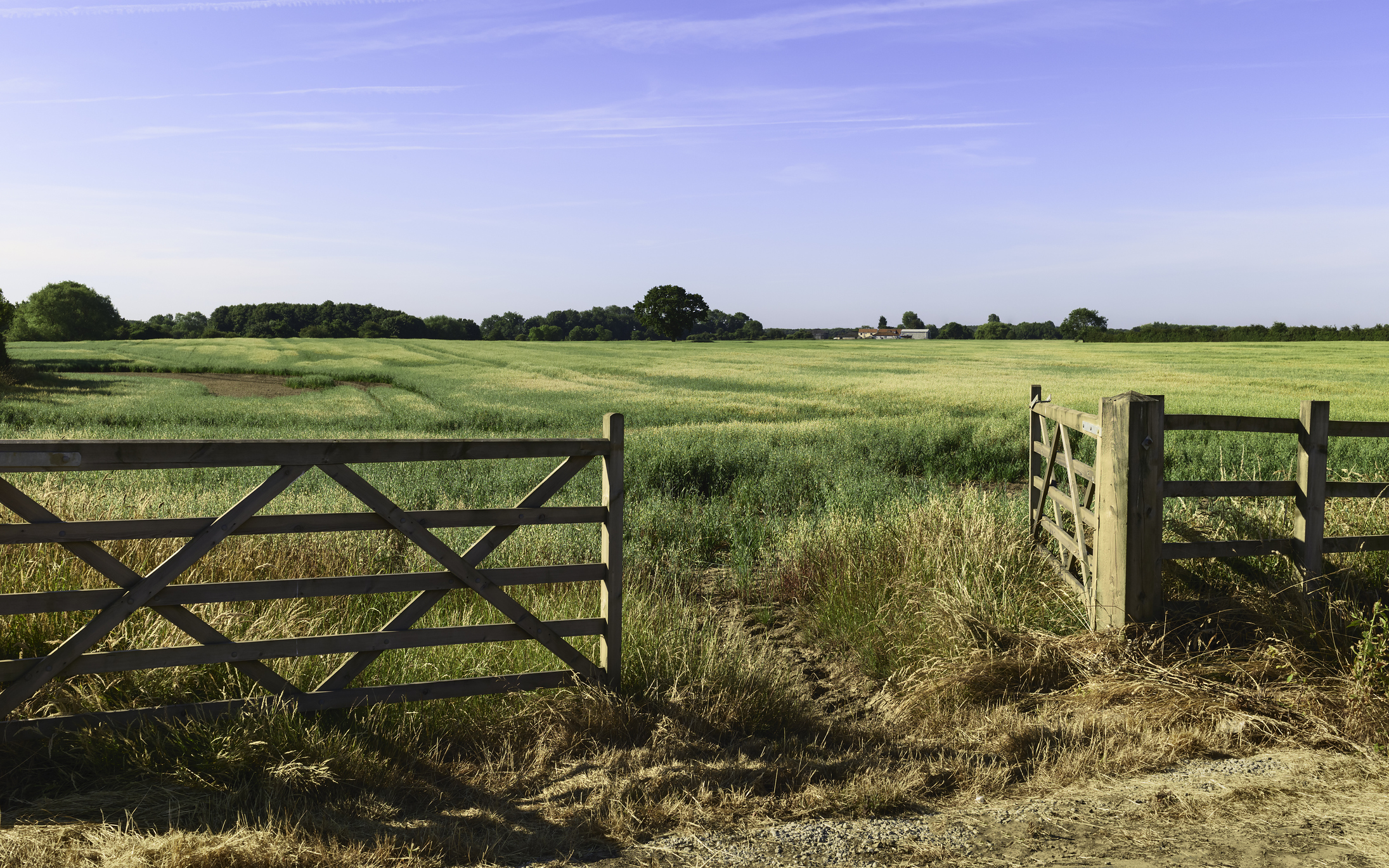 Concept for Disposing of Charity Land