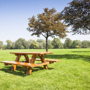 Picnic table on a green meadow