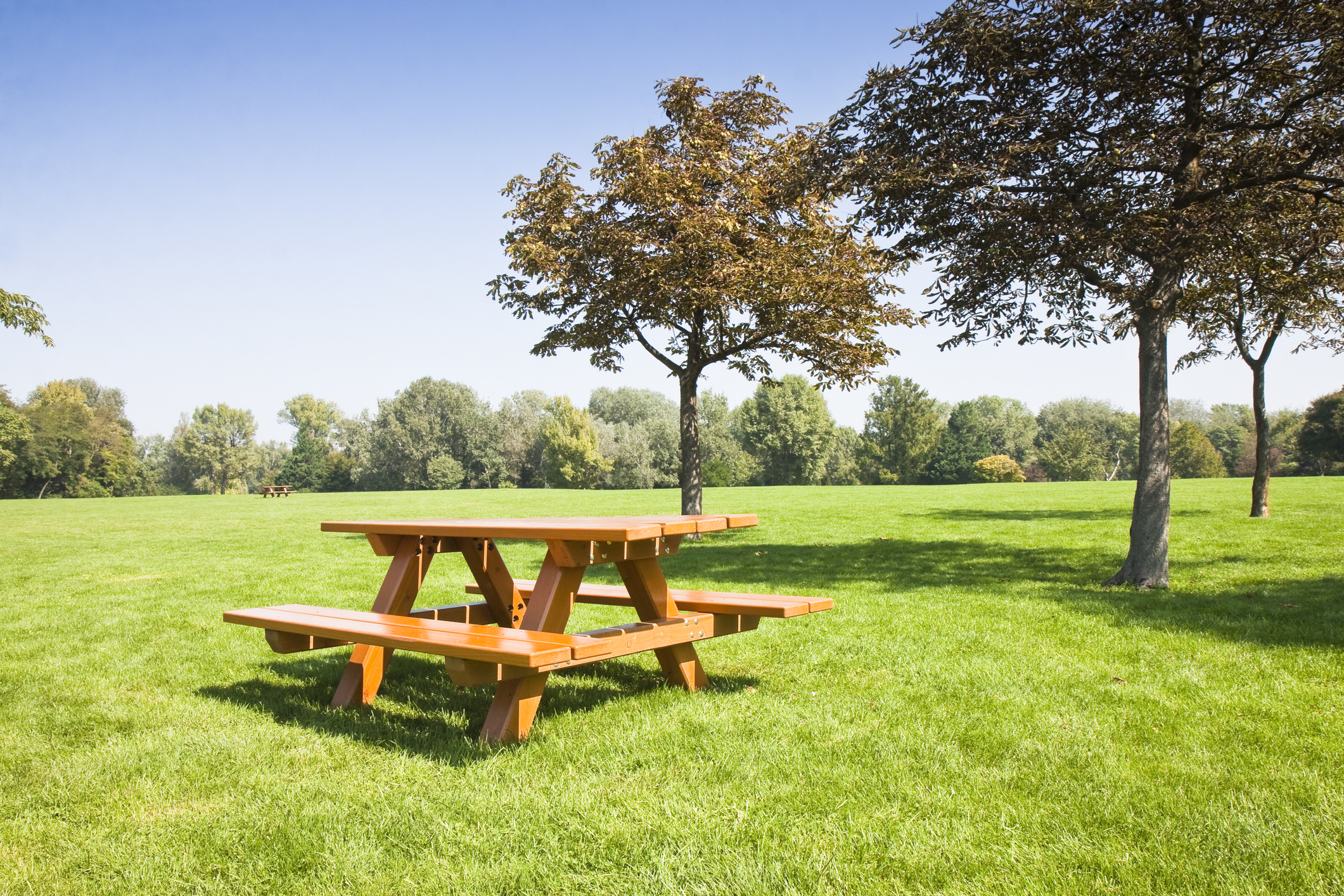 Picnic table on a green meadow