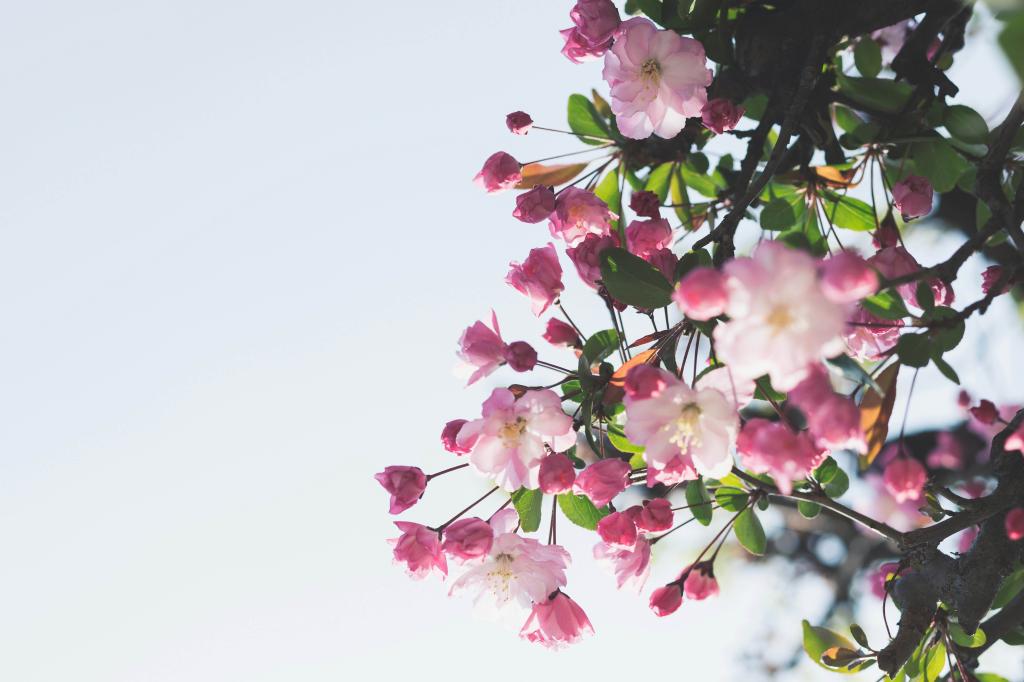 Concept for - Spring Employment Law Update