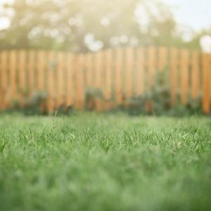 Concept for - Adverse Possession Act - A recent case