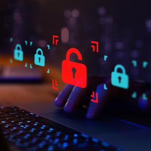Concept for - Cybercrime claims - the Hamblin case