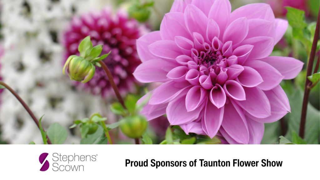 Concept for - Sponsorship - Taunton Flower Show