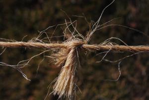 Concept for - Why farming divorces are different in England and Wales