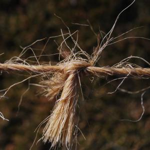 Concept for - Why farming divorces are different in England and Wales
