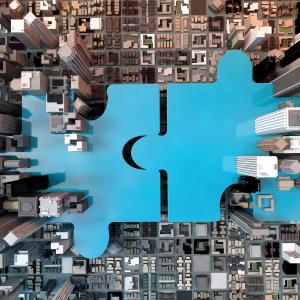 Charity Mergers