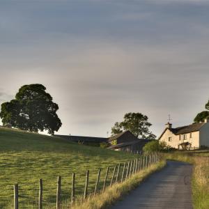 Farm Valuations in Divorce