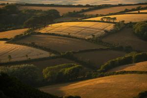 Rural Update – Autumn 2025