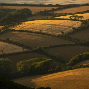 Rural Update – Autumn 2025