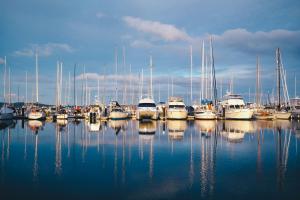 Row of boats and yachts in a marina